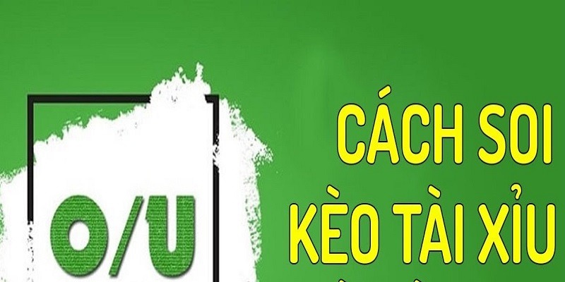 Soi kèo Tài Xỉu - Cơ hội thắng cược cao